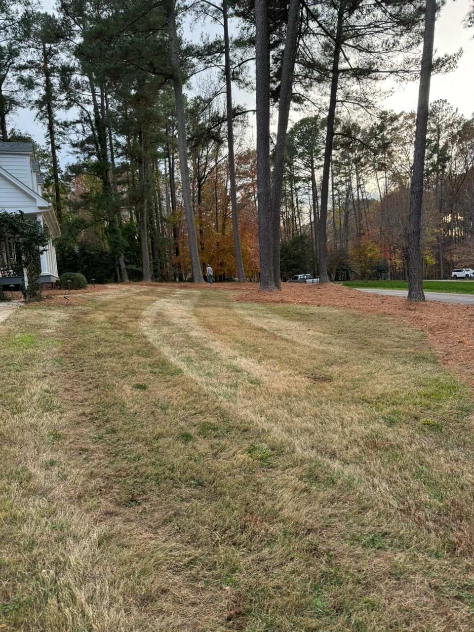 Premium Sod Installation